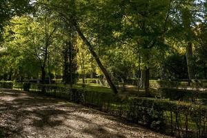 der herbst kommt in den parks in der provinz madrid, spanien foto