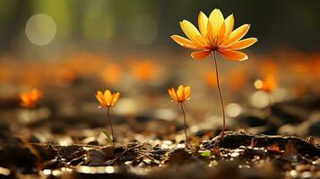 ein Single Orange Blume steht aus im das Mitte von ein Feld generativ ai foto