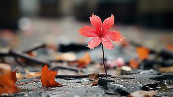 ein Single rot Blume sitzt auf das Boden umgeben durch gefallen Blätter generativ ai foto