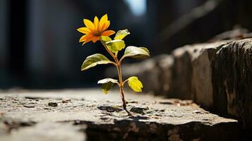 ein Single Gelb Blume wachsend aus von ein Riss im das Boden generativ ai foto