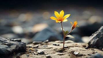 ein Single Gelb Blume ist wachsend aus von das Boden foto