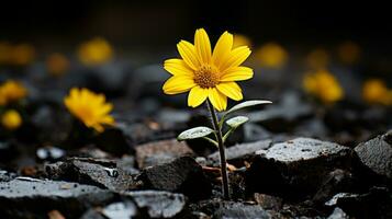 ein Single Gelb Blume ist wachsend aus von das Boden generativ ai foto