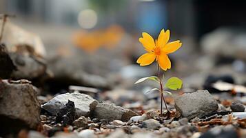 ein Single Gelb Blume ist wachsend aus von das Boden generativ ai foto