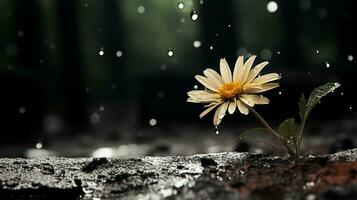 ein Single Gelb Blume ist Stehen im das Regen im Vorderseite von ein dunkel Wald Hintergrund generativ ai foto