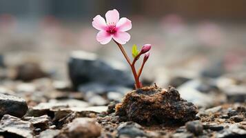 ein klein Rosa Blume ist wachsend aus von das Boden generativ ai foto