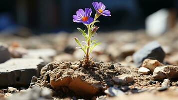 ein klein lila Blume ist wachsend aus von das Boden generativ ai foto