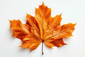 Herbst farbig fallen Blatt isoliert auf transparent Hintergrund Overlay Textur. ai generativ foto