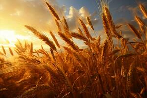 ein golden Weizen Feld, Reis schwankend im das Wind, von größter Bedeutung Licht, Surrealismus. ai generativ foto