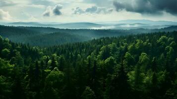 Antenne Perspektive von tagsüber Wald - - generiert ai Aussicht foto