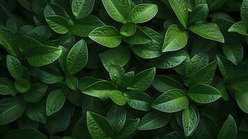 Grün Blatt Nahaufnahmen präsentieren der Natur Muster - - generiert ai Fotografie foto