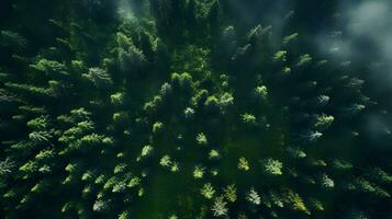 tagsüber Wald gesehen von über - - generiert ai Antenne Aussicht foto