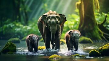 Elternteil und zwei Baby Elefanten beim das Strom im Dschungel. foto