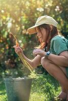 Landwirtschaft, Ernte, Garten. Möhren sind gewaschen im ein Eimer von Wasser foto