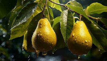 Frische von Grün Blätter, reif Zitrusfrüchte Frucht, nass mit Tau generiert durch ai foto