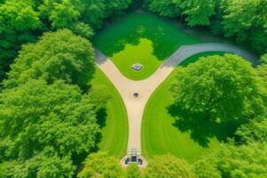 schön Landschaft Park mit Bäume und Sonne. bunt Laub im das Park. ai generativ Profi Foto