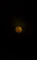 schließen oben von das Mond voll Mond leuchtenden hell Mexiko. foto