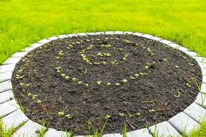 Garten mit runden Betten Boden jung Sprossen Pflanzen im Deutschland. foto