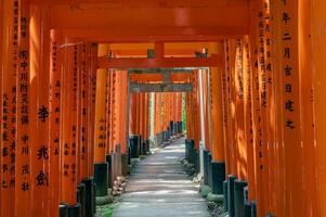 das Schrein von das tausend torii Tore. Fushimi Inari Schrein. es ist berühmt zum es ist Tausende von Zinnober torii Tore. Japan foto