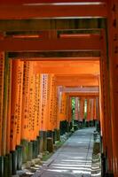 das Schrein von das tausend torii Tore. Fushimi Inari Schrein. es ist berühmt zum es ist Tausende von Zinnober torii Tore. Japan foto