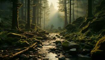 still Szene nebelig Wald offenbart mysteriös Schönheit im Natur generiert durch ai foto
