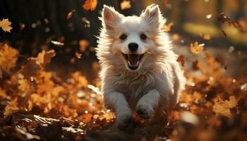 süß Hündchen spielen draußen, genießen Herbst Schönheit im Natur generiert durch ai foto