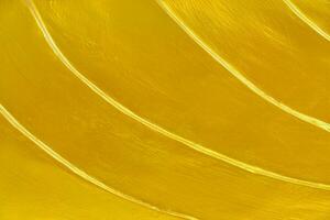 Gold Textur Hintergrund leer zum Design foto