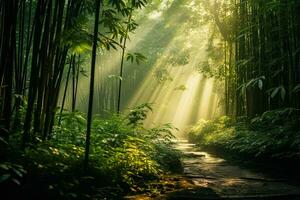 Landschaft von Pfad im asiatisch Bambus Wald mit Morgen Sonnenlicht foto
