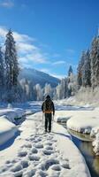 Schneeschuhwandern. friedlich Spaziergänge durch schneebedeckt Landschaften foto