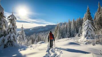 Schneeschuhwandern. friedlich Spaziergänge durch schneebedeckt Landschaften foto