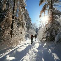 Schneeschuhwandern. friedlich Spaziergänge durch schneebedeckt Landschaften foto