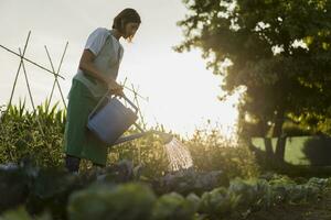 Frau Bewässerung Gemüse Garten foto