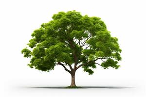 Grün Baum auf isoliert Weiß Hintergrund ai generativ foto