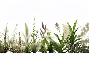 Pflanzen und Gras auf isoliert Weiß Hintergrund ai generativ foto