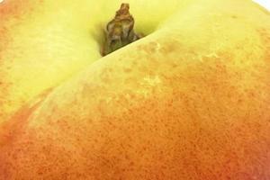 Nahaufnahme Pfirsich isoliert auf weißem Hintergrund foto