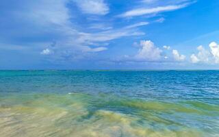 tropischer mexikanischer Strand klares türkisfarbenes Wasser Playa del Carmen Mexiko. foto