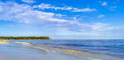 tropischer mexikanischer Strand klares türkisfarbenes Wasser Playa del Carmen Mexiko. foto
