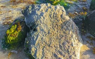 steine felsen korallen türkis grün blau wasser am strand mexiko. foto