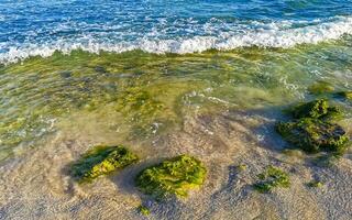 steine felsen korallen türkis grün blau wasser am strand mexiko. foto