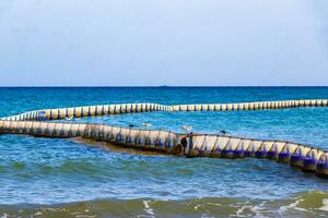 Seetang sargazo Netz Karibik Strand Wasser playa del carmen Mexiko. foto