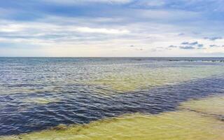 tropischer mexikanischer Strand klares türkisfarbenes Wasser Playa del Carmen Mexiko. foto