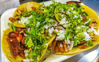 Mexikaner Tacos mit Limette heiß Soße Ananas und Zwiebeln Mexiko. foto