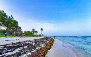 playa del carmen Quintana roo Mexiko 2023 tropisch Karibik Strand Cenote punta esmeralda playa del carmen Mexiko. foto