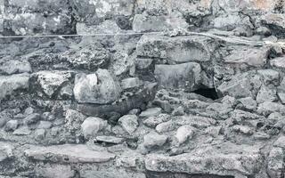 leguan auf felsen tulum ruinen maya-stätte tempelpyramiden mexiko. foto