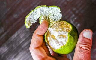 Hände schälen ein Grün Orange Zitrusfrüchte Obst im Mexiko. foto