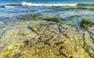 steine felsen korallen türkis grün blau wasser am strand mexiko. foto