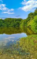 grüne schöne tropische fluss-süßwasserlagune in puerto escondido mexiko. foto