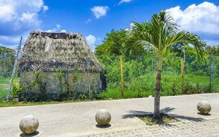 Maya Hütten hölzern Hütte im tropisch Urwald Strand Eingang Mexiko. foto
