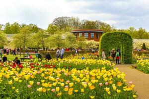 liss Süd Holland Niederlande 2014 bunt Blumen Tulpen Narzissen im keukenhof Park liss Holland Niederlande. foto