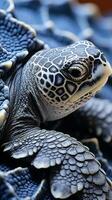 Nahansicht von das kompliziert Einzelheiten von ein Meer Schildkröten Schale foto