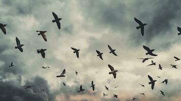 Herde von Vögel fliegend im das Himmel erstellt mit ai foto
